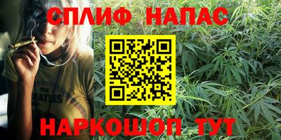 ALPHA PVP Гатчина