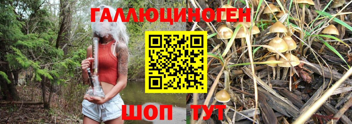 Галлюциногенные грибы MAGIC MUSHROOMS Бор