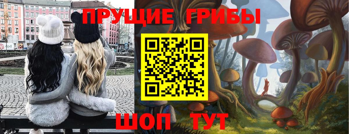 Бор  Псилоцибиновые грибы прущие грибы  Вход с VPN  Псилоцибиновые грибы мухоморы 